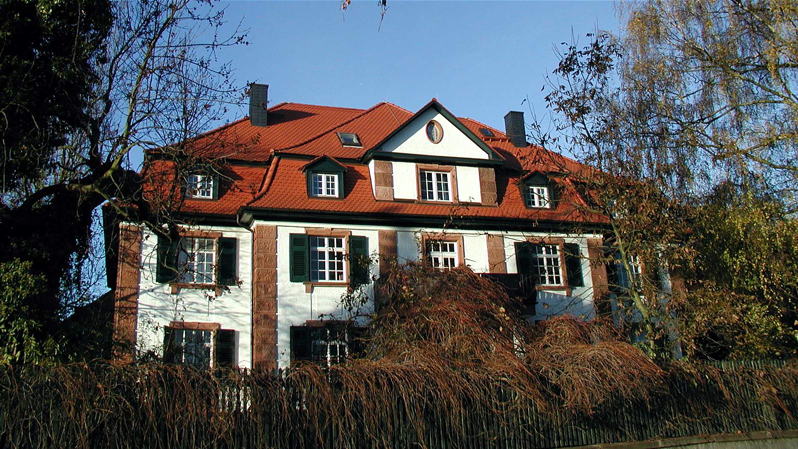 Ausgeführtes Dachprojekt von Martin & Bach in Reinheim